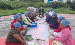 सीमान्तकृत समुदायलाई घरबासमार्फत रोजगारसँग जोडिदै