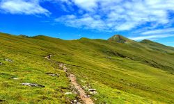 पर्यटकीय याममा पनि सुनसान ‘गुरिल्ला ट्रेक’