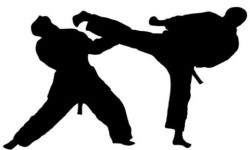 एसियन तेक्वान्दोमा नेपाललाई रजत पदक