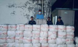 सत्र क्विन्टल गाँजासहित एक जना पक्राउ