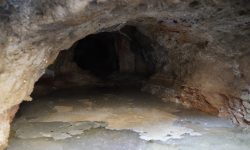 बगेर खेर गइरहेछ भोटको नुन