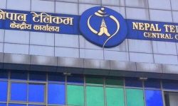 टेलिकमको अवरुद्ध सेवा सञ्चालन