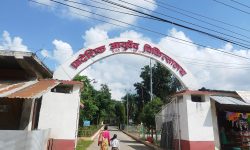 आयुर्वेद चिकित्सालयमा बर्सेनी बिरामीको सङ्ख्या वृद्धि