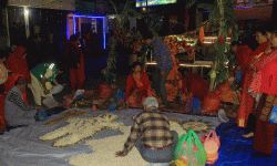 जुनको प्रकाशमा मकै सुकाउने पर्व मनाइयो