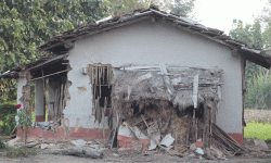 लालझाडीमा जङ्गली हात्तीले आतंक मच्चायो