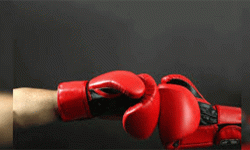 बक्सिङ टोली थाइल्याण्ड जाने