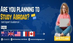 ब्रेनब्रिज एजुकेसनले सुरु गर्यो आफ्नो सेवा