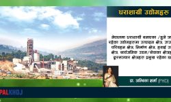 नेपालका धराशायी सार्वजनिक उद्योगहरू !
