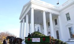 चीनको हिरासतमा रहेका तीन अमेरिकी रिहा