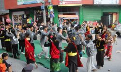 फेरिँदै देउसीभैलोको स्वरूप