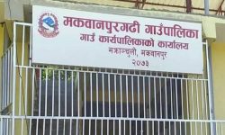 मकवानपुरगढीद्वारा कृषकलाई अनुदान