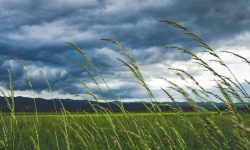 यदी हावा नभएको भए … !