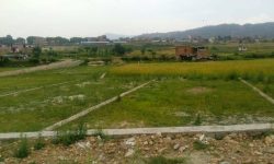 सरकारलाई जग्गा दान गर्छु भन्दापनि पाएनन् समाजसेवी श्रेष्ठले