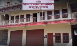 जिल्ला समन्वय समिति कैलालीको प्रमुखमा नेपाली कांग्रेसकी भुल निर्विरोध निर्वाचित