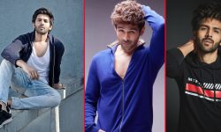 कार्तिक आर्यनको बक्स अफिस कलेक्शन