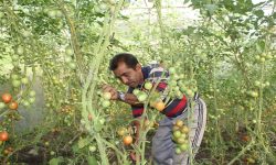 ‘आफ्नै खेतबारीमा नङग्रा खियाउँदा सन्तुष्टी मिल्दो रहेछ’