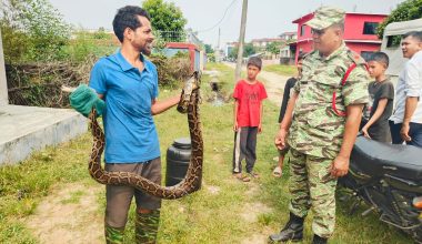 टीकापुरलाई ‘जिरो स्नेक किलिङ’ नगर बनाउन लागिपरेका लक्ष्मण