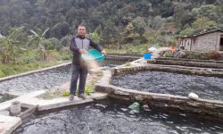 रेन्बो ट्राउट माछा बेचेर वार्षिक तीन करोड आम्दानी