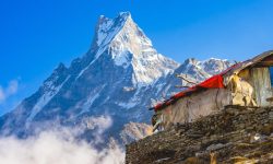 मर्दी आरोहणमा बेपत्ता पर्यटक गाइडको शव भेटियो