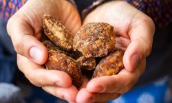 महोत्तरीका किसान उखु पेलेर सख्खर बनाउन व्यस्त