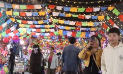 फेसने सहर धरानमा ‘सांस्कृतिक तिहार’