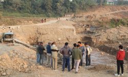 पोखराको बाँझो जग्गामा कागतीखेती