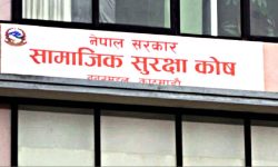 आज सातौँ सामाजिक सुरक्षा दिवस