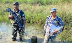 संयुक्त टोलीद्वारा सीमास्तम्भको निरीक्षण