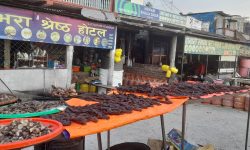 सुकुटी बेचेर मासिक दुई लाख आर्जन