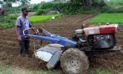 ग्रामीण भेगमा ट्याक्टरको प्रयोग बढ्न थाल्यो