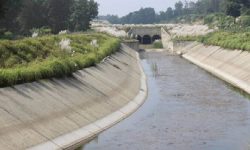 सिक्टा आयोजनामा विलम्ब नगर्न समितिको निर्देशन