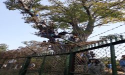 एनपिएलका आयोजकप्रति दर्शकहरू रुष्ट