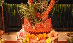 तुलसी र दामोदरको विवाह गरी हरिबोधिनी एकादशी पर्व मनाइँदै