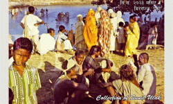 तराईमा मनाइँने छठ पर्वको शुभकामना