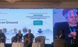 ‘पर्वतीय क्षेत्रलाई जलवायु सङ्कटबाट जोगाउन सहकार्य गर्नुपर्नेमा जोड’