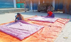 सिरक डसना बनाएर मनग्य आम्दानी