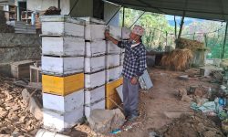 मह बेचेर एक याममा १२ लाख आर्जन