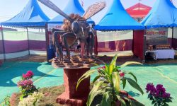 खैरहनी महोत्सवमा महको प्रवर्द्धन गरिँदै