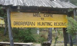 ढोरपाटन सिकार आरक्ष पुग्ने सडक स्तरोन्नति हुँदै