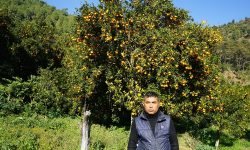 सुन्तला बेचेरै तिलक गुरुङले छोराछोरीलाई इन्जिनियर र नर्स पढाए