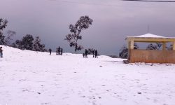 दार्चुलामा हिमपात र वर्षा