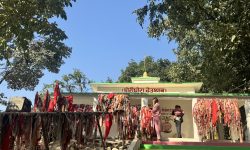 कैलालीका थारू समुदाय लवाङ्गी पूजामा रमाउँदै