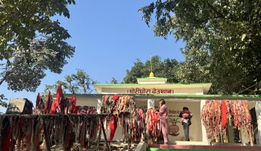 कैलालीका थारू समुदाय लवाङ्गी पूजामा रमाउँदै