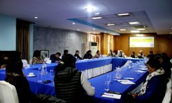 सङ्क्रमणकालीन न्याय प्रक्रियाः स्वतन्त्र, निष्पक्ष र समक्ष व्यक्ति सिफारिस गर्नुपर्ने