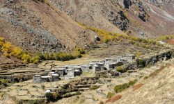 बसाइँसराइले रित्तियो हिमालपारीको जाङ गाउँ