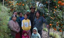 बसाइँसराइलाई रोक्दै सुन्तलाखेती