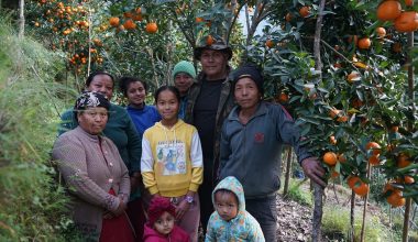 बसाइँसराइलाई रोक्दै सुन्तलाखेती