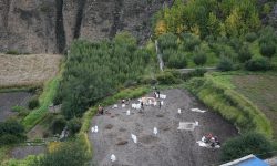 मुस्ताङमा आलु ‘जोन’