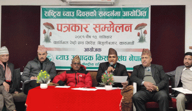 राष्ट्रिय च्याउ दिवस : परिकार नि:शुल्क चाख्न पाइने