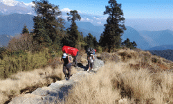 अन्नपुर्ण चक्रिय वैकल्पिक पदमार्गमा पर्यटक बढ्दै